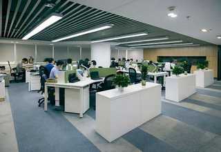 安溪土笋冻介绍